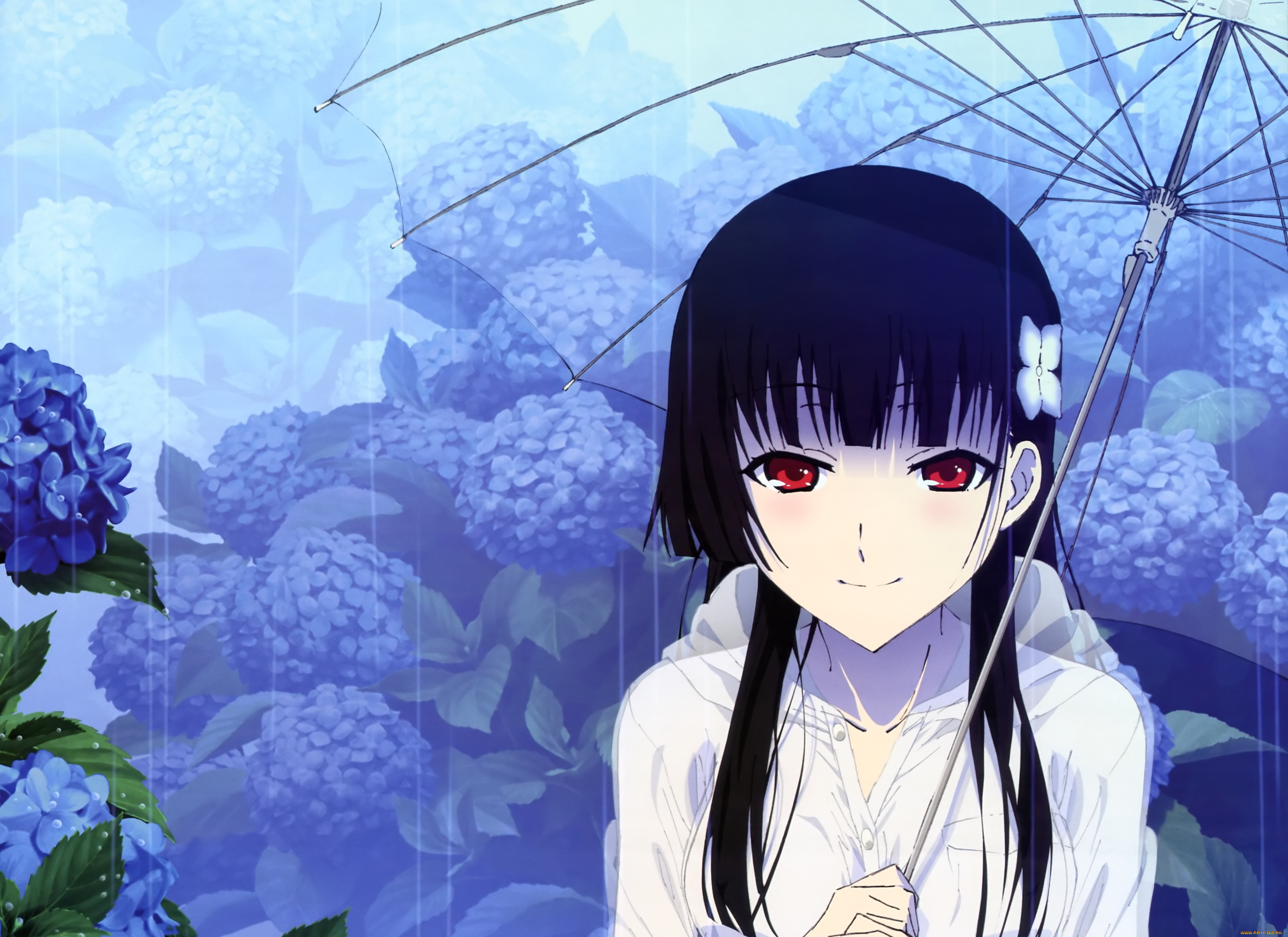 , sankarea